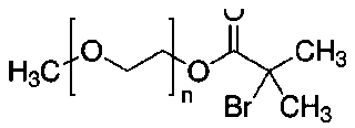 mPEGBIB structural formula